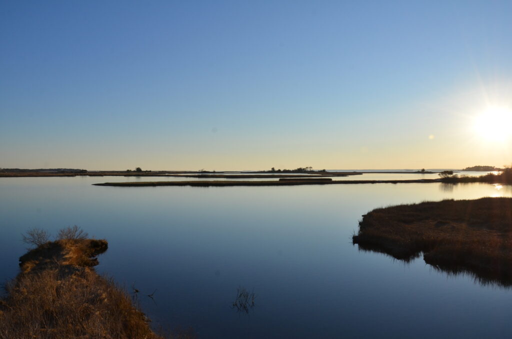 Back Bay National Wildlife Refuge
