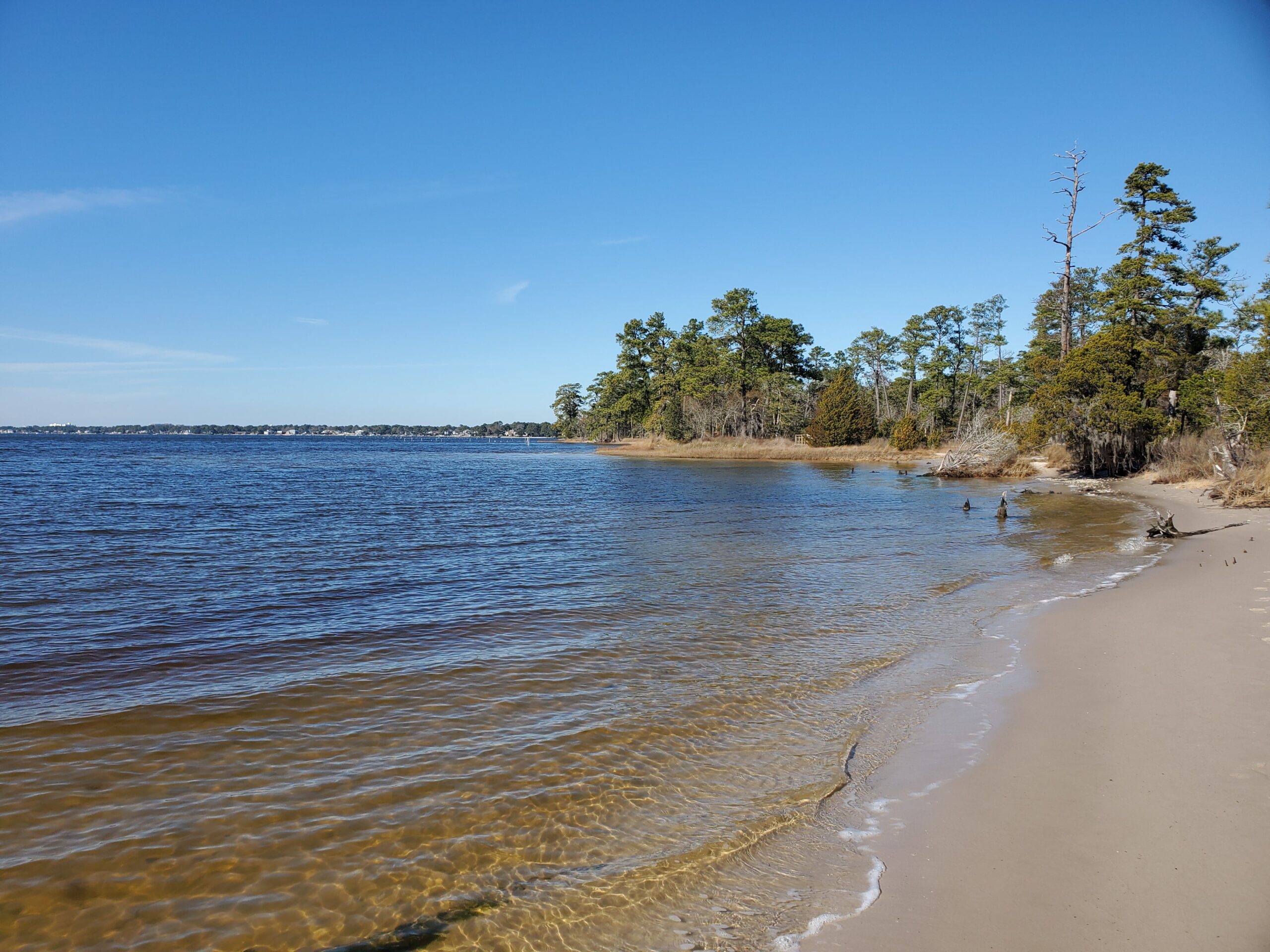 First Landing State Park in virginia beach